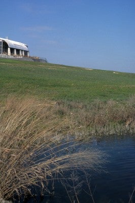 Cultural_slide_22ed72