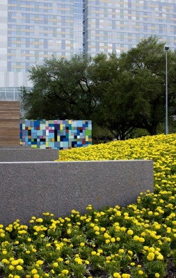 Discovery_Green_18_sm