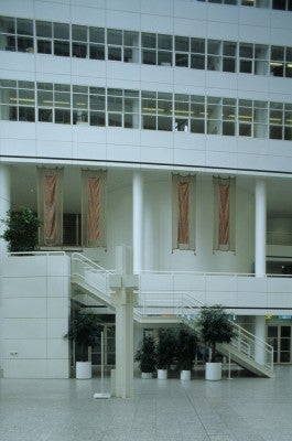 2009-4956