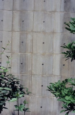 2009-5255