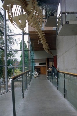 2009-5718