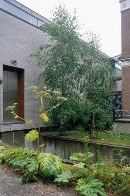 2009-5719