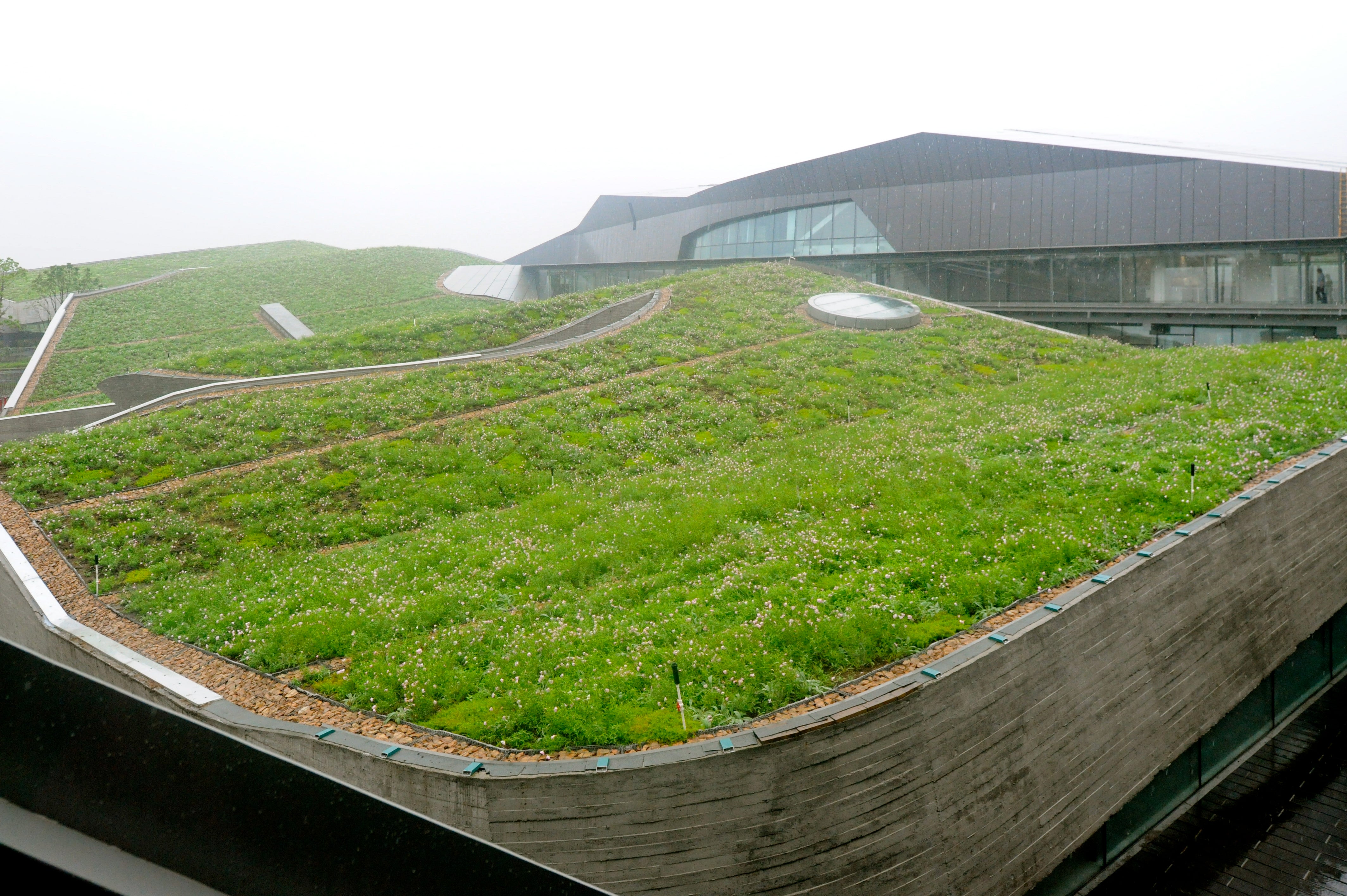 Green roof reads as a rolling ground plane.