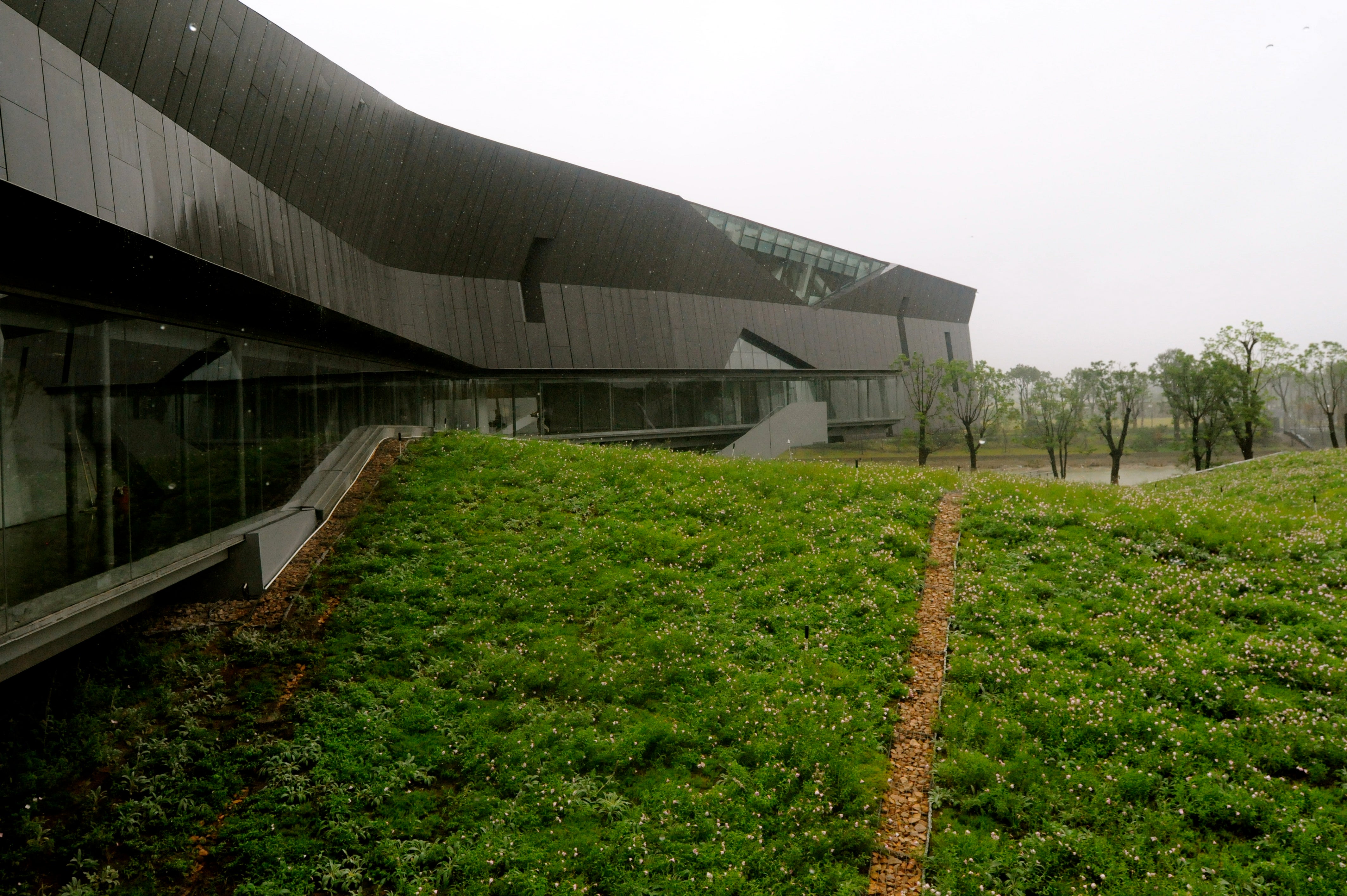 Offices on east side of the campus are slung long and low around library and common spaces under a green roof.