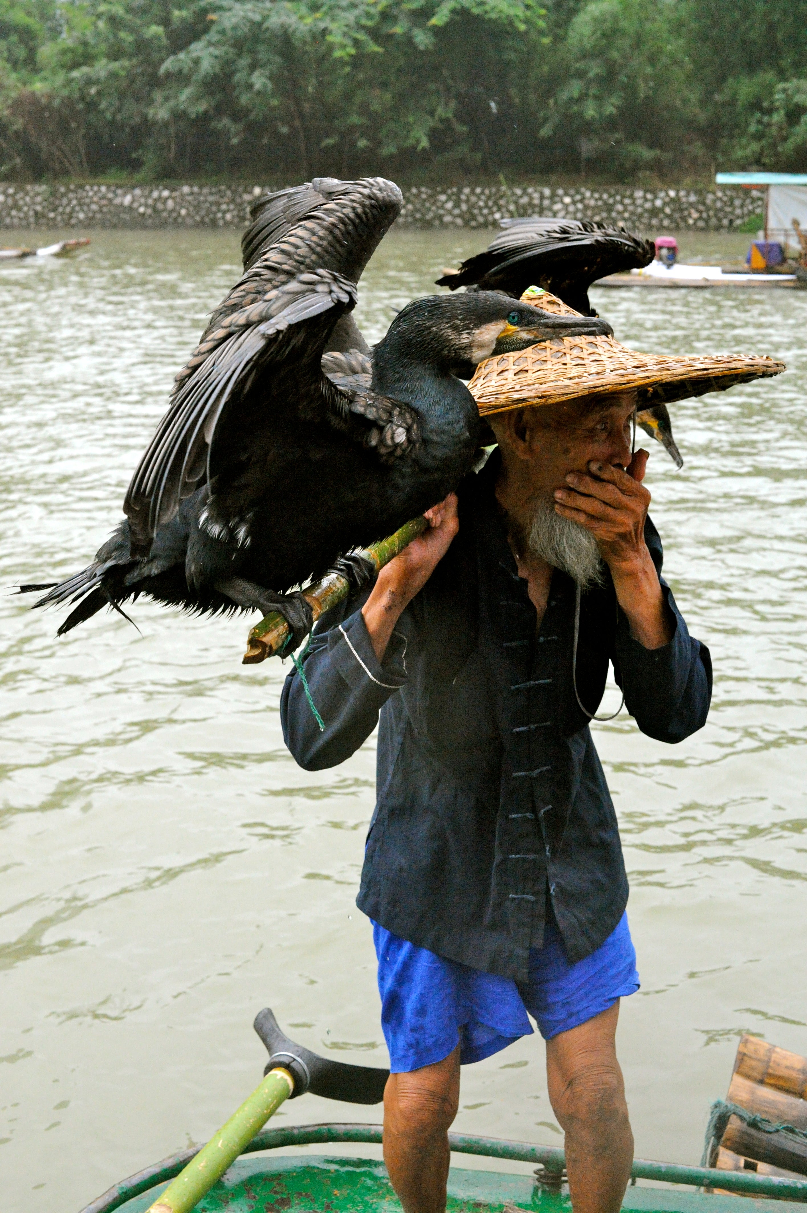 Fisherman with Cormorant birds.