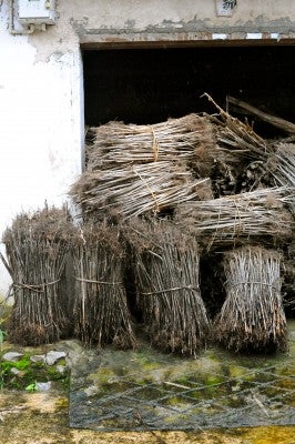 DSC_5348 Evidence of ancient farm practices still alive and well.