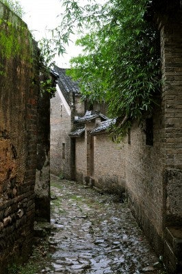 DSC_5411 Sweet, evocative streets