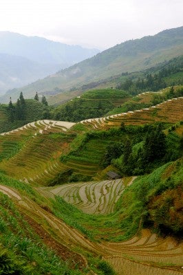 Flooded rice fields make swirling patterns accentuating the contours of the mountains.