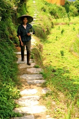 All transportation is via footpaths.