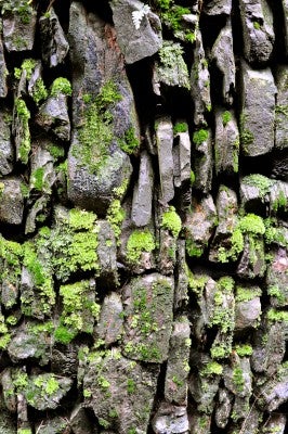Distinctive vertical stonework.