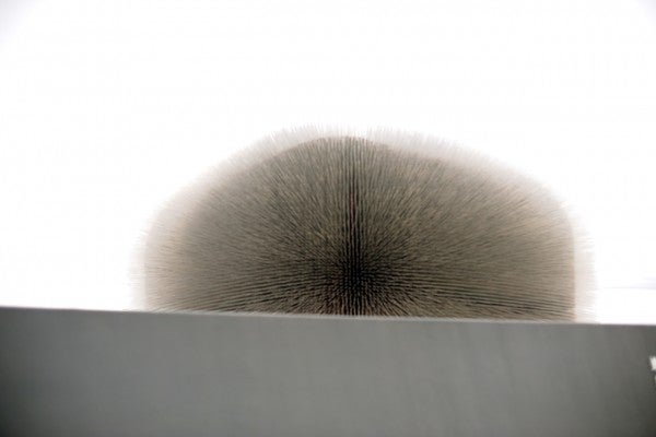 DSC_3456