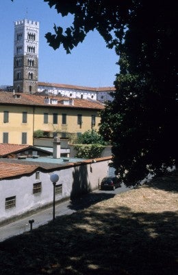 99-00241