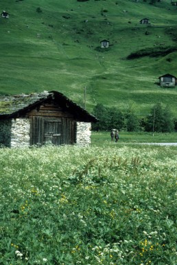 Barn in Vals in Vals, Switzerland