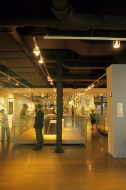 Corning Museum of Glass in Corning, New York by architects Gunnar Birkerts, Smith-Miller +Hawkinson Architects, Harrison & Abramowitz