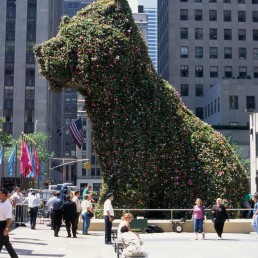 Puppy at Rockefeller Center in New York, New York by architect Jeff Koons