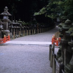 Kasuga Grand Shrine in Nara, Japan