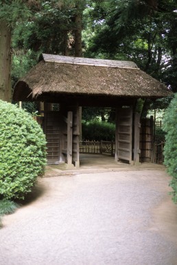 Kairaku-en Garden in Mito, Japan