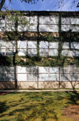 Illinois Institute of Technology in Chicago, Illinois by architect Ludwig Mies van der Rohe
