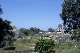 Palenque Palace Complex in Palenque, Mexico