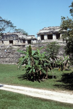 Palenque Archaeological Site in Palenque, Mexico