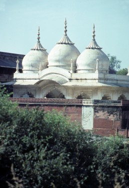 Gem Mosque in Agra, India
