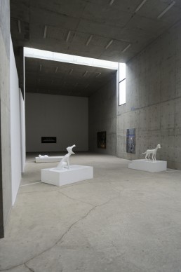 Pace Gallery Beijing in Beijing, China by architect Gluckman Mayner Architects