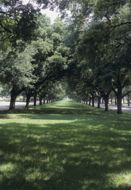 Southern Methodist University campus in Dallas, Texas
