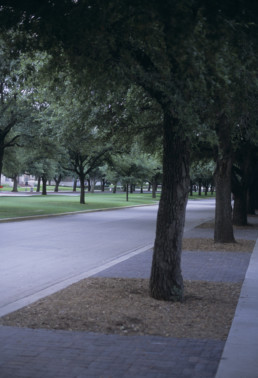 Southern Methodist University campus in Dallas, Texas